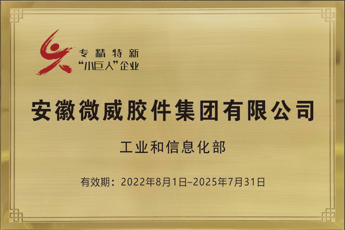 國(guó)家專(zhuān)精特新小巨人企業(yè)